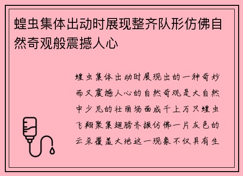 蝗虫集体出动时展现整齐队形仿佛自然奇观般震撼人心